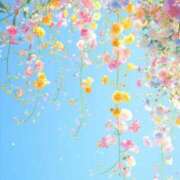 ヒメ日記 2025/04/20 09:16 投稿 うみ姫 螢