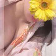 ヒメ日記 2025/05/01 12:04 投稿 うみ姫 螢