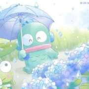 ヒメ日記 2025/05/31 08:22 投稿 うみ姫 螢