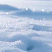 ヒメ日記 2026/01/22 17:01 投稿 うみ姫 螢