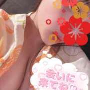 ヒメ日記 2026/04/12 09:32 投稿 うみ姫 螢