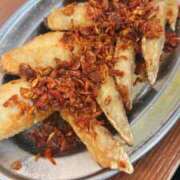 うみ姫 1人酒 螢