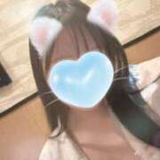 ヒメ日記 2026/07/22 18:15 投稿 うみ姫 螢