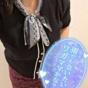 ヒメ日記 2025/04/01 08:48 投稿 まこ 小田原人妻城