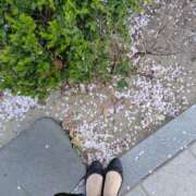 ヒメ日記 2026/04/16 15:33 投稿 まこ 小田原人妻城