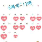 ヒメ日記 2025/04/08 23:15 投稿 れいら アラビアンナイト