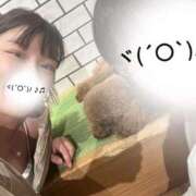 ヒメ日記 2025/06/30 19:33 投稿 れいら アラビアンナイト