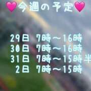 ヒメ日記 2025/07/29 11:45 投稿 れいら アラビアンナイト