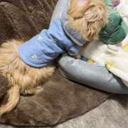 れいら お休みが休みじゃない… アラビアンナイト