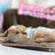 ヒメ日記 2026/03/01 17:59 投稿 れいら アラビアンナイト