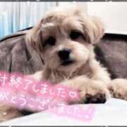 ヒメ日記 2026/03/03 14:45 投稿 れいら アラビアンナイト