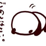 ヒメ日記 2026/06/02 05:52 投稿 れいら アラビアンナイト