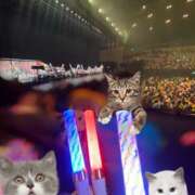 ヒメ日記 2025/01/13 18:35 投稿 ななみPLATINUM SWITCH（スイッチ）池袋店