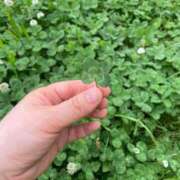 ヒメ日記 2025/05/22 16:37 投稿 ななみPLATINUM SWITCH（スイッチ）池袋店