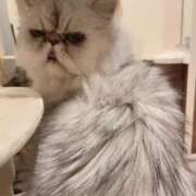 ヒメ日記 2025/06/10 22:57 投稿 ななみPLATINUM SWITCH（スイッチ）池袋店