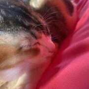 ヒメ日記 2025/07/07 11:47 投稿 ななみPLATINUM SWITCH（スイッチ）池袋店