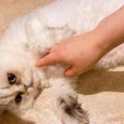 ヒメ日記 2025/07/10 17:31 投稿 ななみPLATINUM SWITCH（スイッチ）池袋店