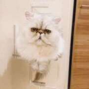 ヒメ日記 2025/07/23 19:37 投稿 ななみPLATINUM SWITCH（スイッチ）池袋店