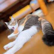 ヒメ日記 2025/08/21 14:47 投稿 ななみPLATINUM SWITCH（スイッチ）池袋店