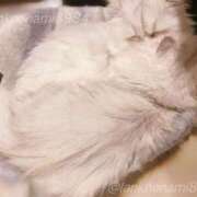 ヒメ日記 2025/10/25 15:27 投稿 ななみPLATINUM SWITCH（スイッチ）池袋店