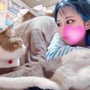 ヒメ日記 2025/12/14 01:04 投稿 ななみPLATINUM SWITCH（スイッチ）池袋店