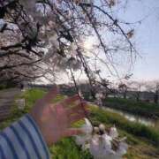 ヒメ日記 2026/03/24 16:24 投稿 ななみPLATINUM SWITCH（スイッチ）池袋店