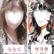 ヒメ日記 2025/02/12 11:24 投稿 ももこ 神田エマニエル