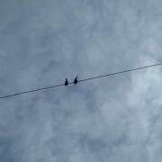 ヒメ日記 2025/05/18 06:06 投稿 ももこ 神田エマニエル