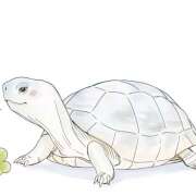 ヒメ日記 2025/05/23 16:47 投稿 ももこ 神田エマニエル