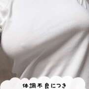 ヒメ日記 2025/06/12 16:24 投稿 ももこ 神田エマニエル