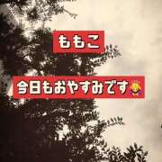 ヒメ日記 2025/06/13 16:47 投稿 ももこ 神田エマニエル