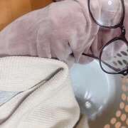 ヒメ日記 2025/07/14 16:45 投稿 ももこ 神田エマニエル