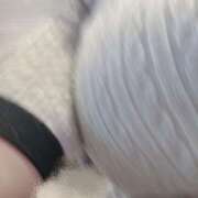 ヒメ日記 2025/07/22 14:23 投稿 ももこ 神田エマニエル