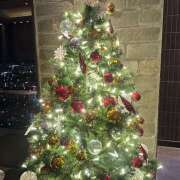 ヒメ日記 2025/11/14 17:17 投稿 ももこ 神田エマニエル