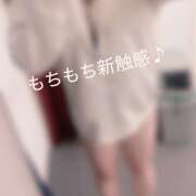 ヒメ日記 2025/11/27 02:28 投稿 ももこ 神田エマニエル