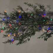 ヒメ日記 2025/12/01 13:17 投稿 ももこ 神田エマニエル