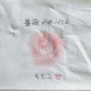 ヒメ日記 2026/02/06 15:28 投稿 ももこ 神田エマニエル