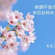ヒメ日記 2026/03/23 18:42 投稿 ももこ 神田エマニエル