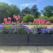 ヒメ日記 2026/04/26 12:00 投稿 ももこ 神田エマニエル