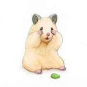 ヒメ日記 2025/04/25 16:46 投稿 しずく すごいエステ 名古屋店