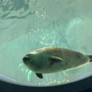 ヒメ日記 2025/05/03 19:16 投稿 しずく すごいエステ 名古屋店