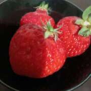 ヒメ日記 2025/04/01 15:51 投稿 安藤ゆみ クラリスDAO