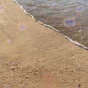 ヒメ日記 2025/06/30 10:40 投稿 ぴぃち 学校帰りの妹に手コキしてもらった件 梅田