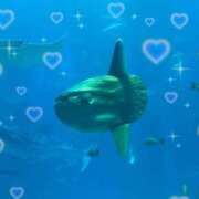 ヒメ日記 2025/08/21 18:50 投稿 ぴぃち 学校帰りの妹に手コキしてもらった件 梅田