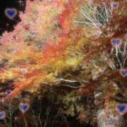 ヒメ日記 2025/11/27 23:10 投稿 ぴぃち 学校帰りの妹に手コキしてもらった件 梅田