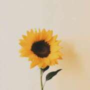 ヒメ日記 2025/08/15 20:53 投稿 あかね AVANCE福岡