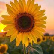 ヒメ日記 2025/08/22 20:22 投稿 あかね AVANCE福岡