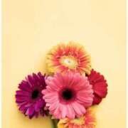 ヒメ日記 2025/08/28 18:01 投稿 あかね AVANCE福岡