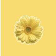 ヒメ日記 2025/08/31 18:01 投稿 あかね AVANCE福岡