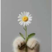 ヒメ日記 2025/08/31 20:01 投稿 あかね AVANCE福岡